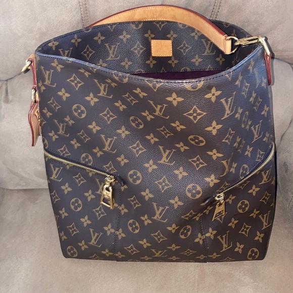 Louie handbag - Picture 1 of 5
